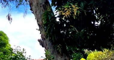 Imóvel com 400m² em loteamento RGA, desocupado