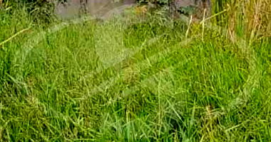 Terreno com 160 m² no Loteamento Jardim das Flores