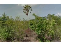 Área Rural com 160ha em Leilão