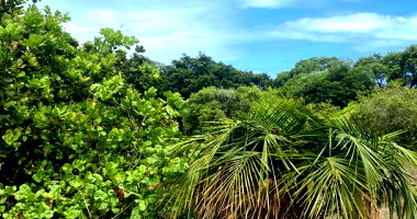Terreno em loteamento com 300 m²