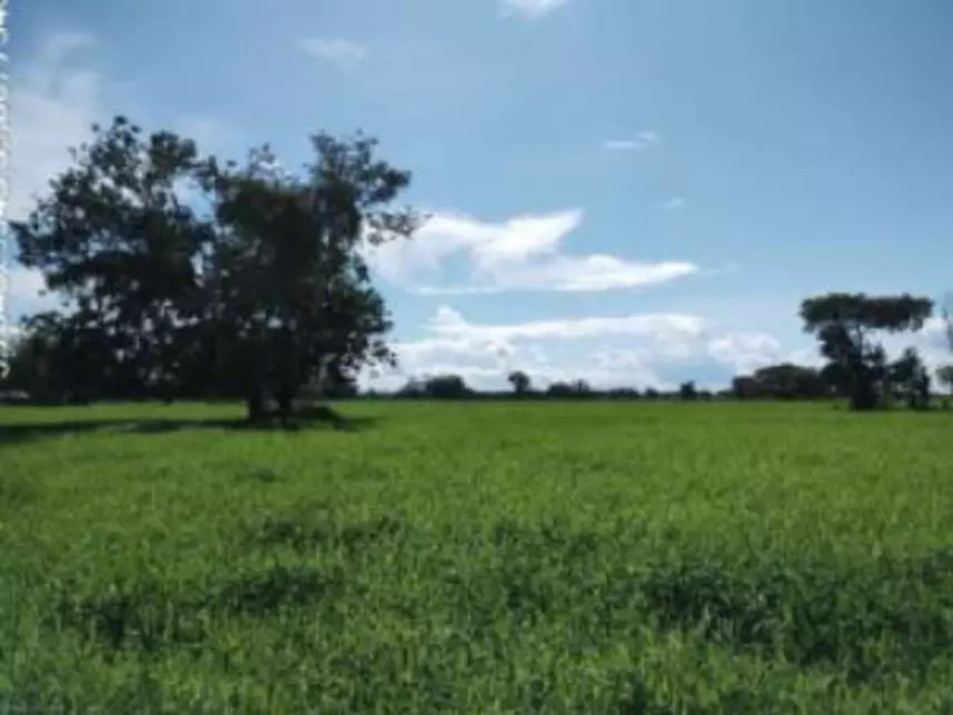 Área Rural com 10 hectares em Careiro da Várzea/AM