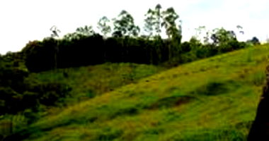 Terreno Rural com Área Total de 183,33 m² em Taió - SC