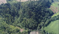 Lote Rural com 63.600m² em Três Passos/RS