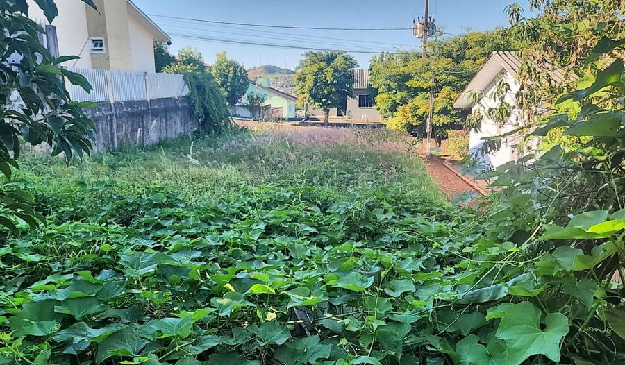 Terreno urbano 275m² sem benfeitorias, lote 41, quadra 07