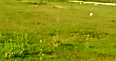 Terreno amplo com 2.144 m² no Parque Continental, ocupado
