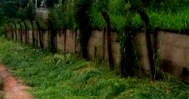 Terreno amplo em Ponta Grossa, 12258 m²