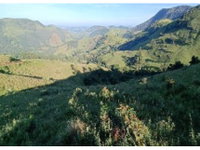 Área rural de 109.600 m² ocupada