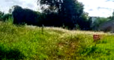 Terreno Amplo em Leilão - Vila Nova, Francisco Beltrão