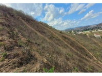 Terreno 542m² em Araruna II, Timbaúba/PE