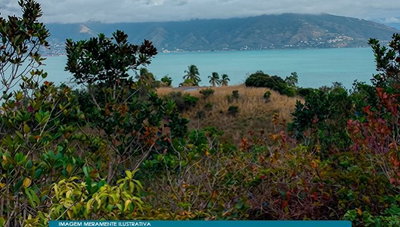 Área de 90.000 m² em Ilhabela com potencial de investimento