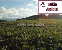 Terreno Rural 43,56 ha em Jacutinga - Excelente para agropecuária