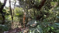 Terreno de 1.227 m² no Loteamento Recanto Inpla - Carapicuíba - SP
