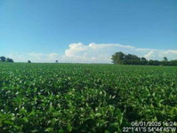Sítio com 40,3ha na Zona Rural de Itaporã/MS