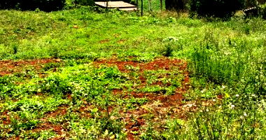 Terreno Urbano com 1.037,50m² em Maximiliano de Almeida/RS