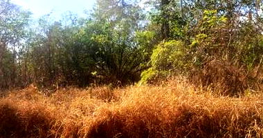 Lote de Terreno com 1.007,37 m² em Condomínio Fechado