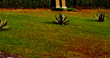 Terreno Urbano em Curitiba - Ampla Área