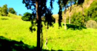 Fazenda Cachoeira com 161,70 hectares em Patrocínio/MG