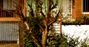 Casa em Porto Alegre com 3 quartos e 2 banheiros