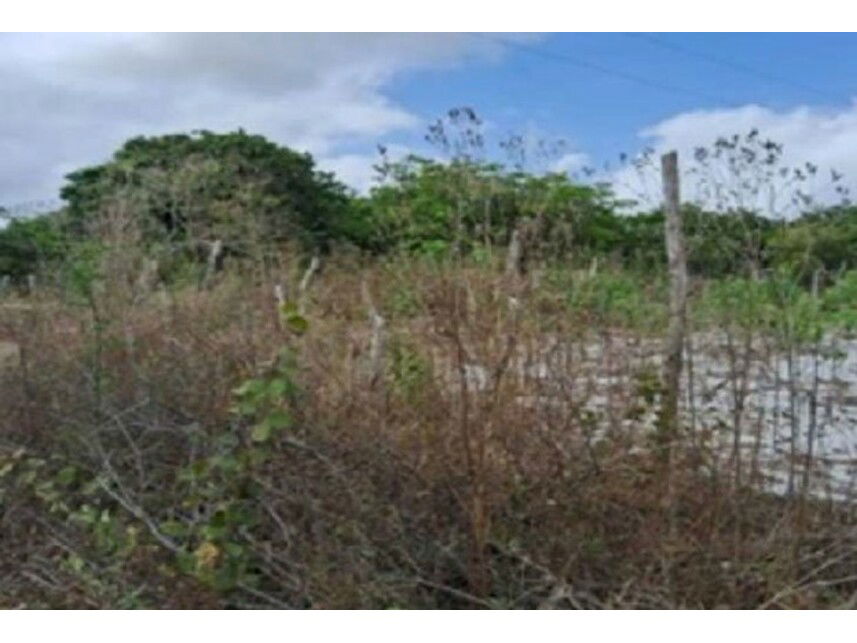 Terreno amplo em Curimatã - 15.345 m², desocupado