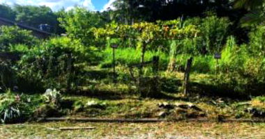 Terreno em Loteamento com 399,10 m²