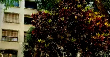 Apartamento de 174,56m² com 6º andar - Ocupado