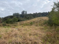 Terreno rural 30.000m² em Petrolândia/SC -