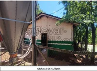 Lote Rural 15ha com 3 granjas em Medianeira/PR - Oportunidade única!