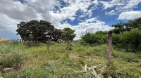Terreno 560m² em Patos de Minas - MG