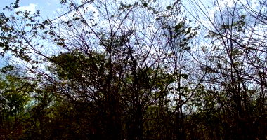 Terreno Urbano com 1.851,30m² em Pacatuba/CE