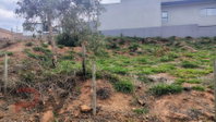 Terreno com 286,37 m² em Crucilândia - MG