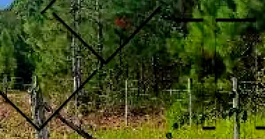 Terreno em Santo Amaro da Imperatriz com 642,78m²