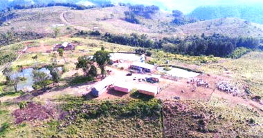 Fazenda Campinas Belas - 460,25 Hectares em Reserva/PR