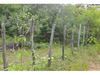 Sítio com 75,83 hectares em Icó/CE