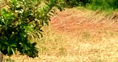 Terreno em Mariluz/PR com 225 m² - Oportunidade Única!