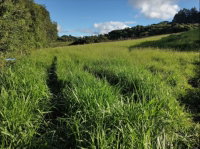 Imóvel Rural com 30.250m² em Anita Garibaldi - SC