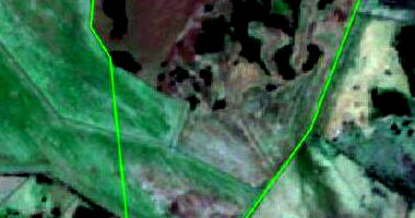 Área Rural com 170,62ha em Guaçu, Dourados/MS