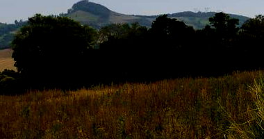 Terreno Rural de 50,6 hectares livre de dívidas em Pitanga-PR