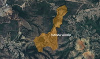 Direitos Possessórios sobre 8 Alqueires em Fazenda Matão