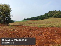 Imóvel Rural com 55,6ha e benfeitorias