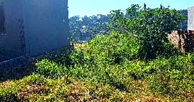 Terreno em Novo Hamburgo/RS com 130m²