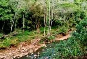 Fração de Terras em Ibarama - 82.500 m²