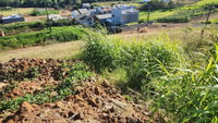 Terreno Urbano com 1895.11m² em São José do Cedro - SC