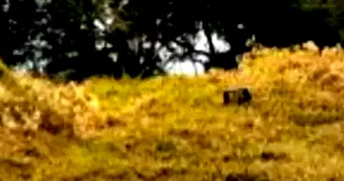 Terreno Urbano desocupado com 4004m², ideal para investimento