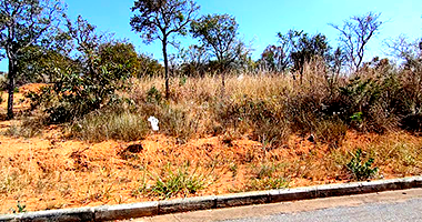 Espaçoso Terreno de 666m² Ocupado com Potencial para Desenvolvimento