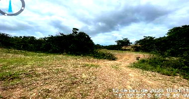 Fazenda Rural com 67 Hectares para Pecuária e Reflorestamento