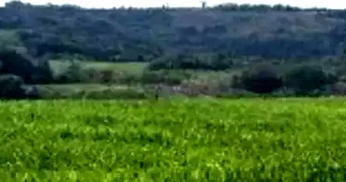 Área Rural com 12,10ha em Leilão