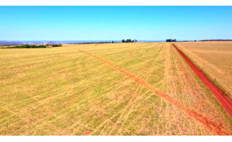 Fazenda Estância Brasil com 1.533,79 hectares em Maracaju/MS