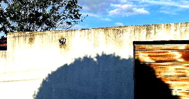 Casa com 1 quarto, 1 banheiro, 1 vaga e 54,16m² construída