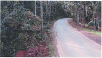 Terreno Rural 39,17 ha com CAR ativo em Guarapuava/PR