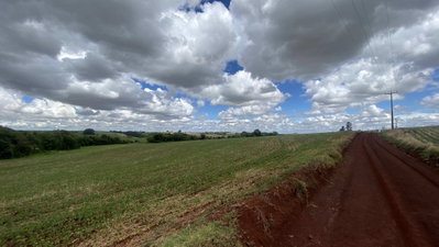 Área rural produtiva de 3 hectares com plantação